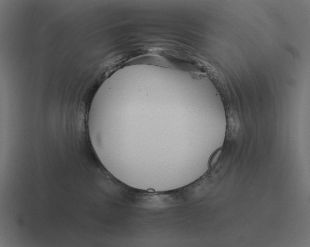 X0000116440379200912291933