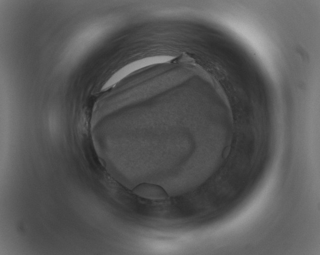 X0000116440382200912291933