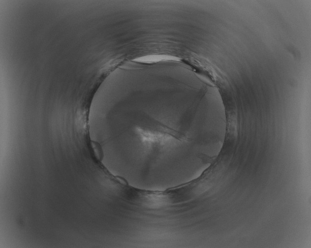 X0000116440383200912291933