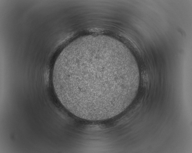 X0000116440404200912291932