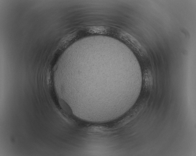 X0000116440408200912291932