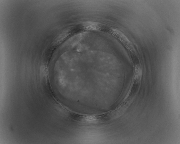 X0000116440409200912291932