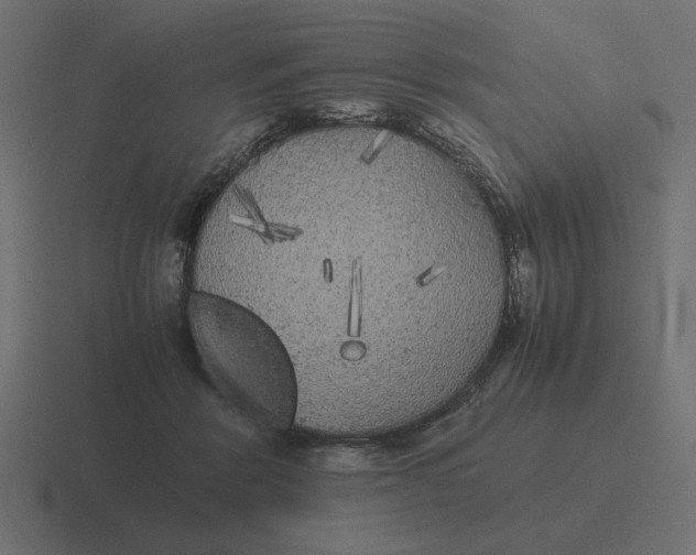 X0000116440412200912291932