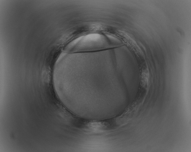 X0000116440413200912291932