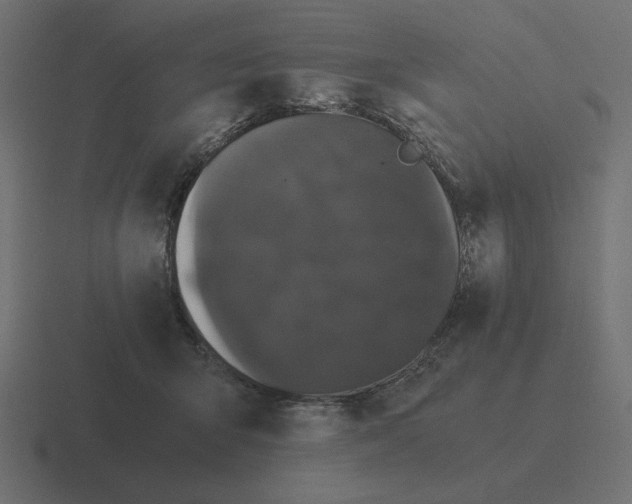 X0000116440415200912291932