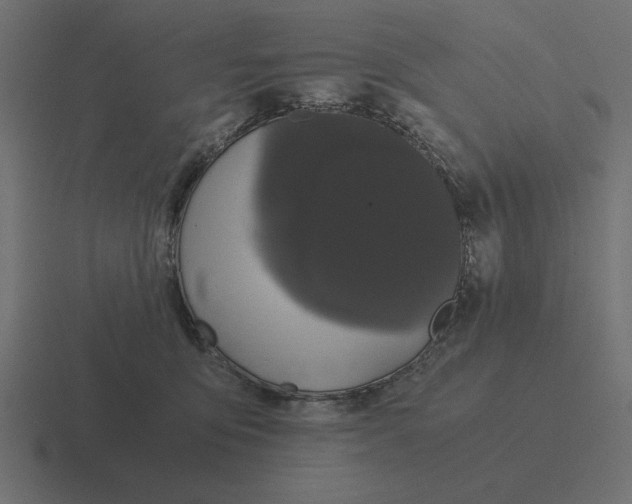 X0000116440419200912291932