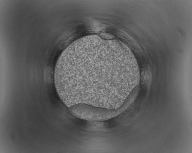 X0000116440421200912291932