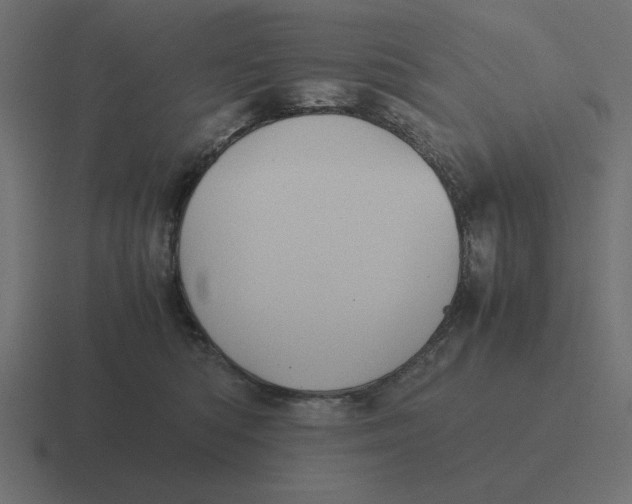 X0000116440422200912291932