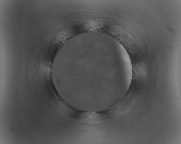 X0000116440427200912291931