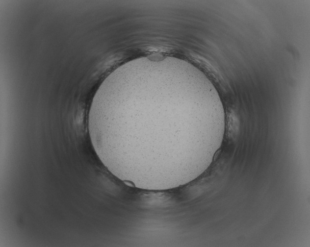 X0000116440428200912291931