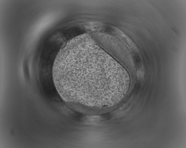 X0000116440429200912291931