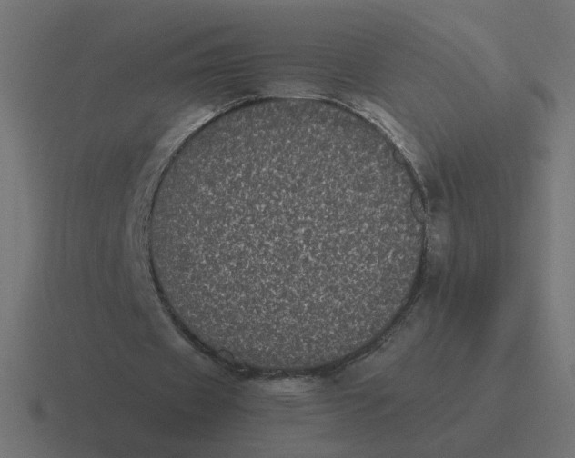 X0000116440433200912291931