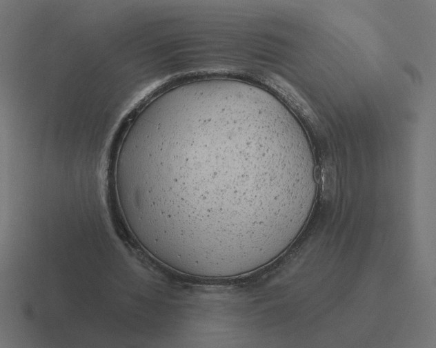 X0000116440436200912291931