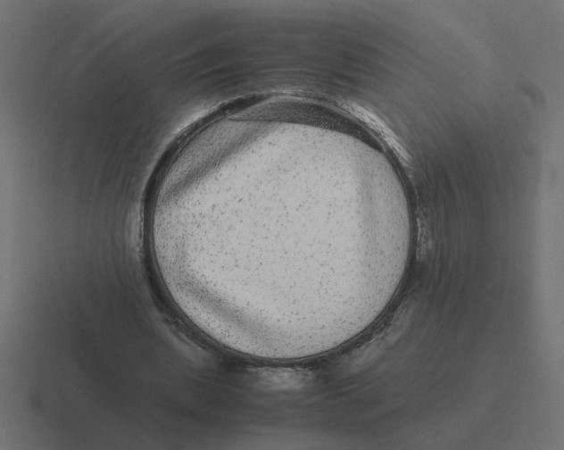 X0000116440439200912291931