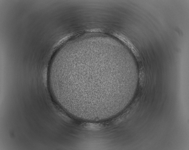X0000116440442200912291931