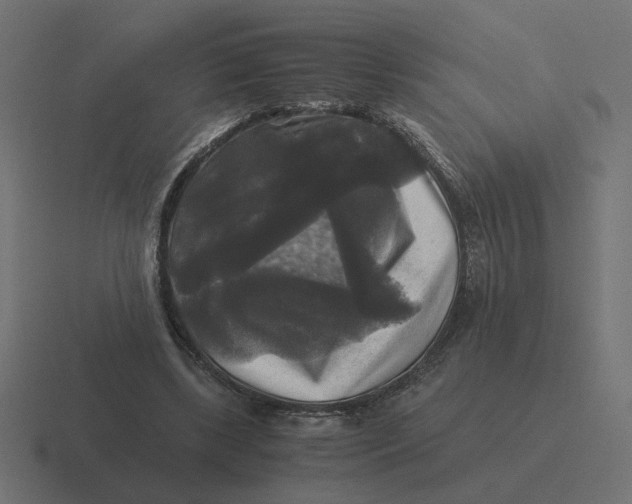 X0000116440443200912291931