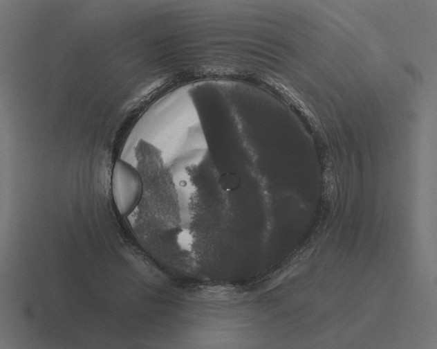 X0000116440446200912291931