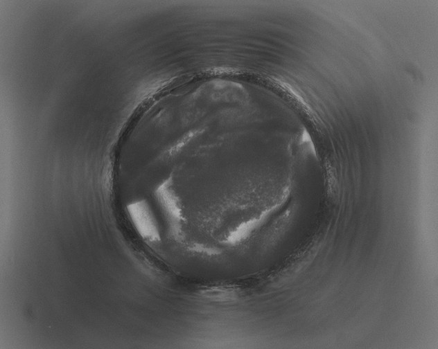 X0000116440447200912291931