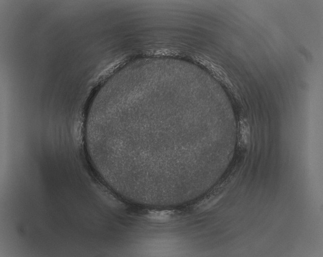 X0000116440450200912291931