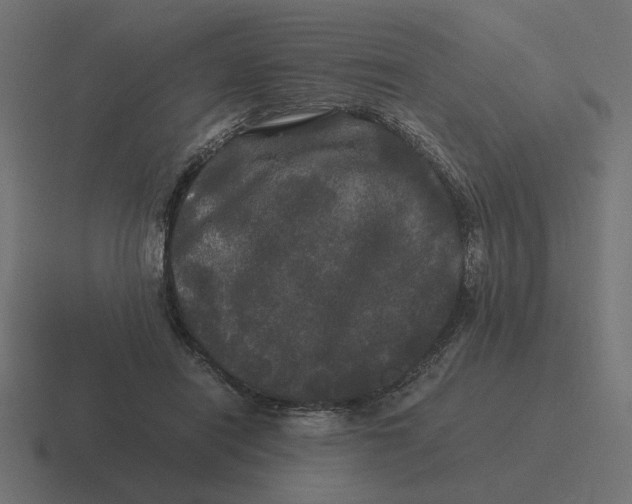 X0000116440454200912291931