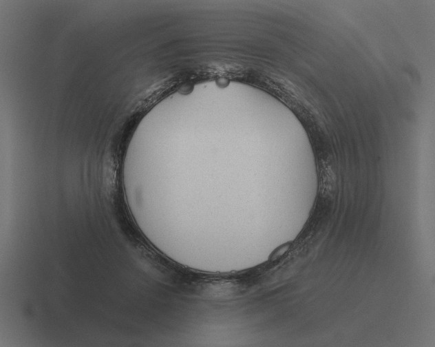 X0000116440456200912291931