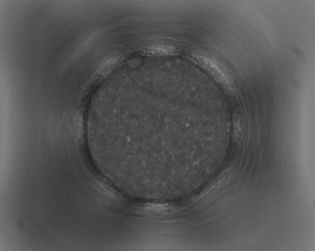 X0000116440457200912291931