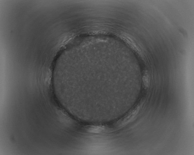X0000116440458200912291931