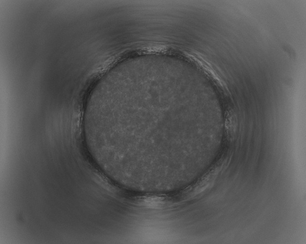 X0000116440462200912291931