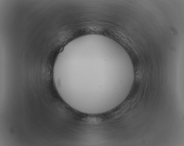 X0000116440464200912291931