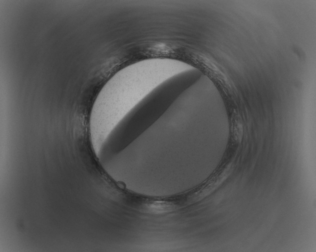 X0000116440467200912291931
