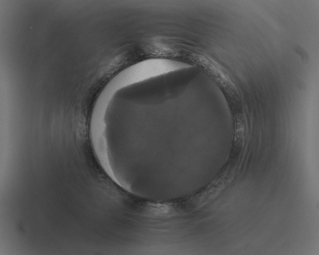 X0000116440469200912291931