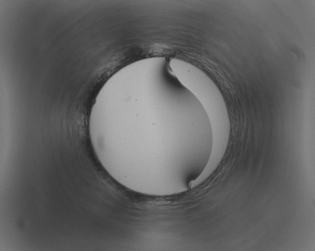 X0000116440470200912291931