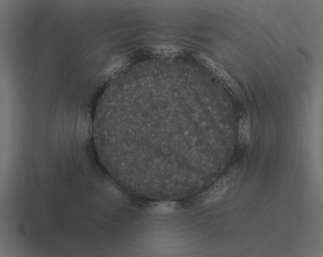 X0000116440474200912291931