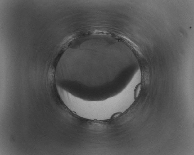 X0000116440475200912291931
