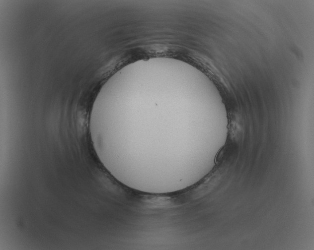 X0000116440476200912291931