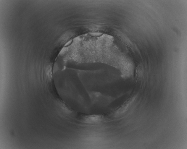 X0000116440479200912291931
