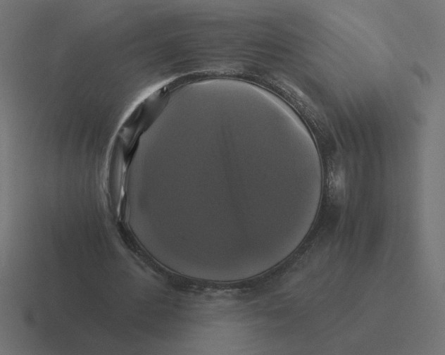 X0000116440484200912291931