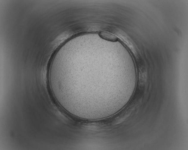 X0000116440485200912291931