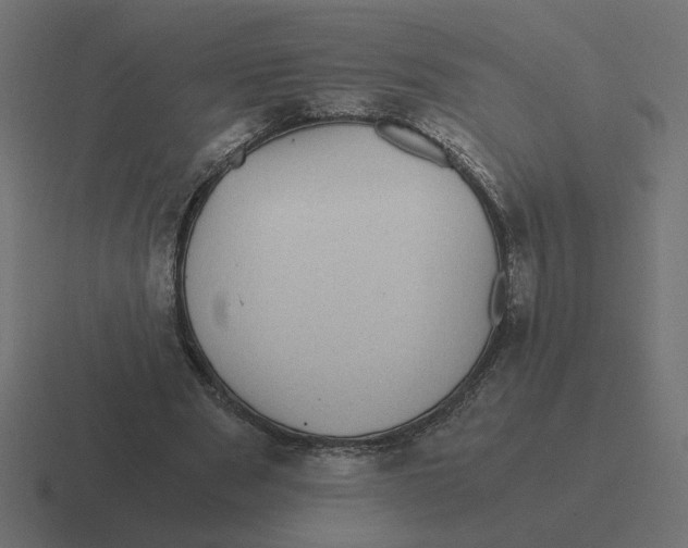 X0000116440489200912291931