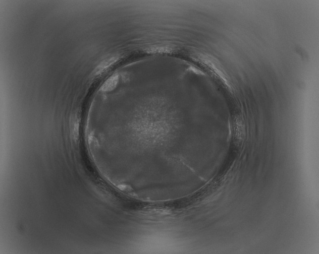 X0000116440491200912291931