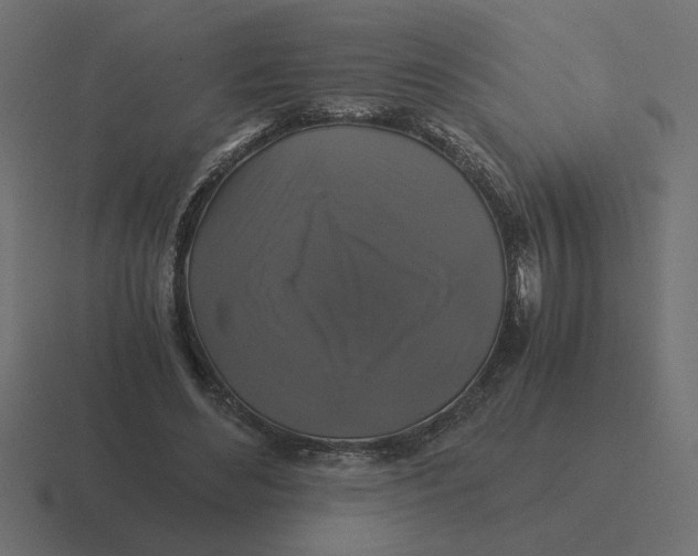 X0000116440492200912291931
