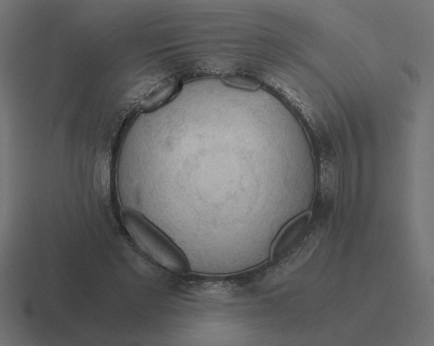 X0000116440493200912291931