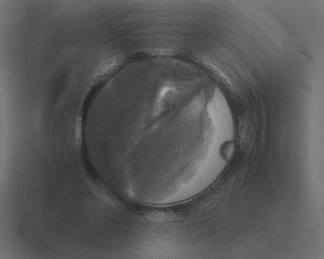 X0000116440494200912291931