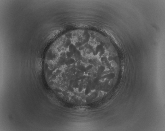 X0000116440495200912291931