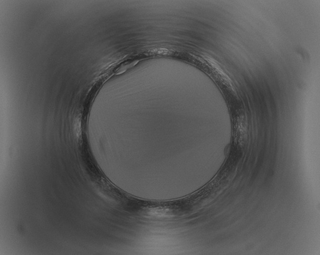 X0000116440500200912291931