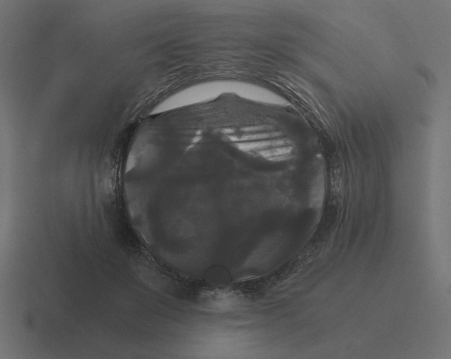 X0000116440503200912291930