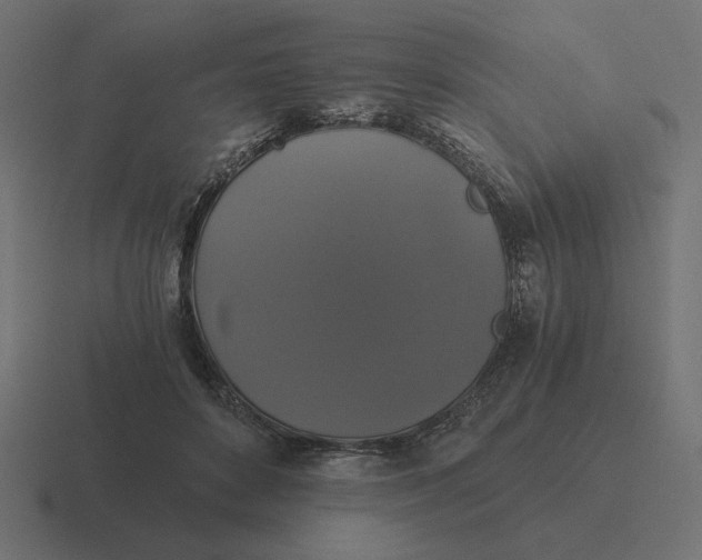 X0000116440504200912291930