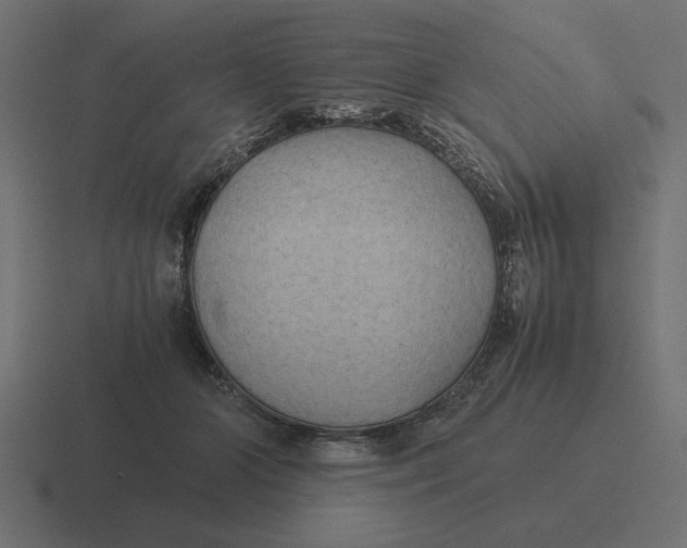 X0000116440510200912291930