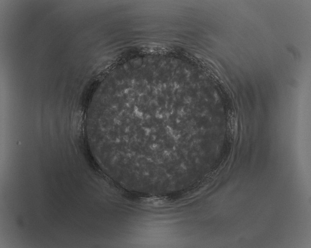 X0000116440511200912291930