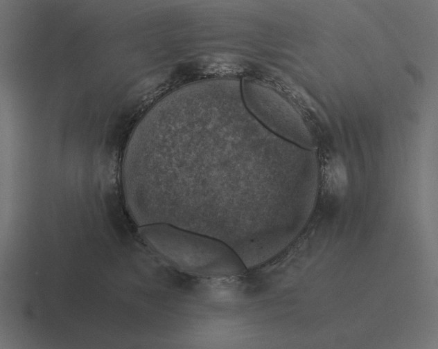 X0000116440517200912291930